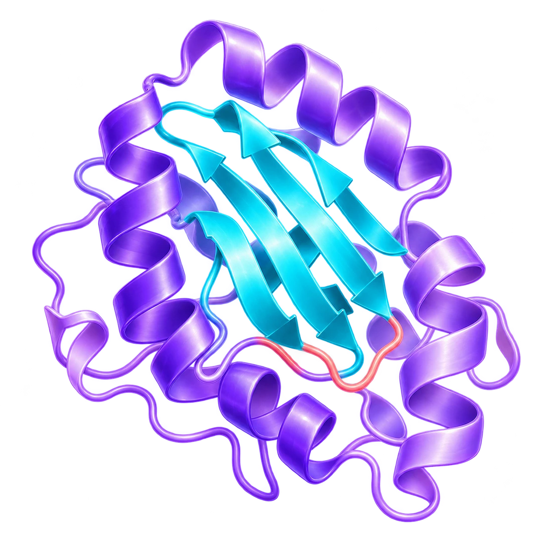 Conceptual violet and cyan protein ribbon model. It does not depict an identified SKF7-responsive protein or a measured structure.